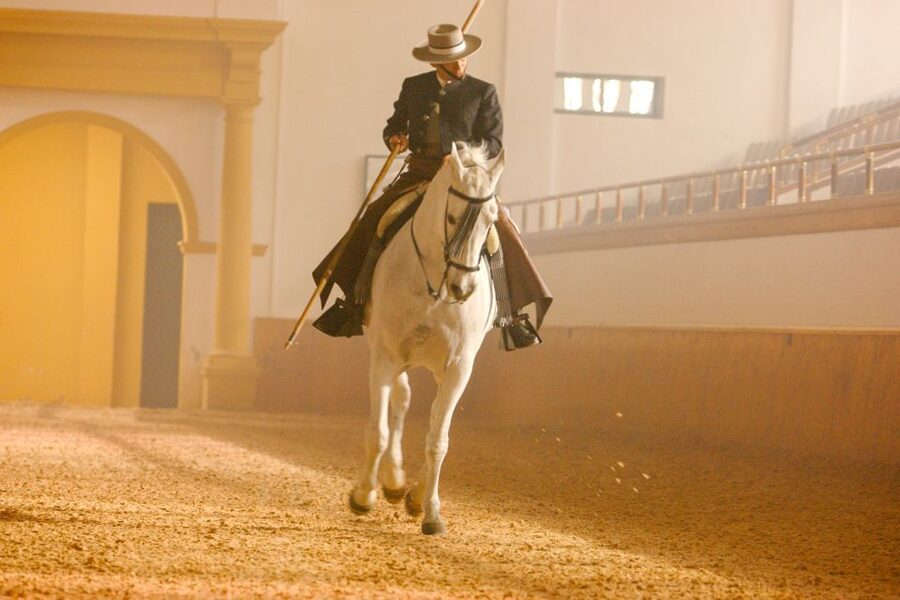 Jerez de la Frontera: How the Andalusian Horses Dance - Work in hand and the Spanish walk