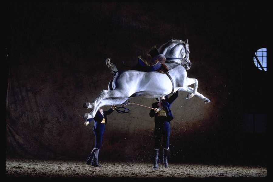 Jerez de la Frontera: How the Andalusian Horses Dance - Costumes, music, and the feel of the performance