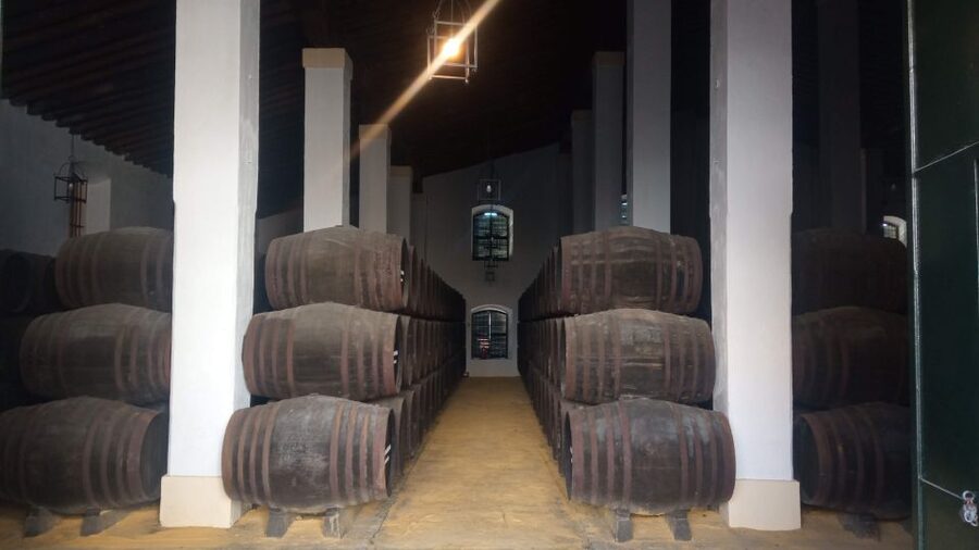 Jerez de la Frontera: Sherry Winery Tour with Tasting - Entering the 1886 winery in central Jerez