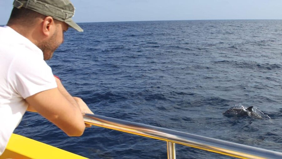 Lanzarote: 2.5-Hour Sunset and Dolphins Cruise - Key Points Before You Book