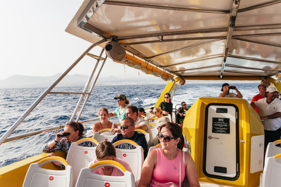 Lanzarote: 2.5-Hour Sunset and Dolphins Cruise - Should You Book the Lanzarote Sunset and Dolphins Cruise?