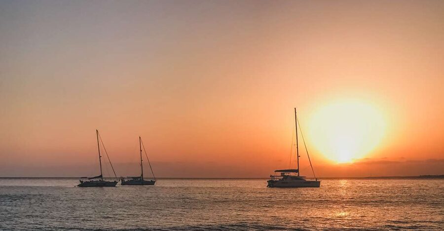 Lanzarote: Dolphin-Watching Sunset Cruise with Transfers - Key points to know before you book