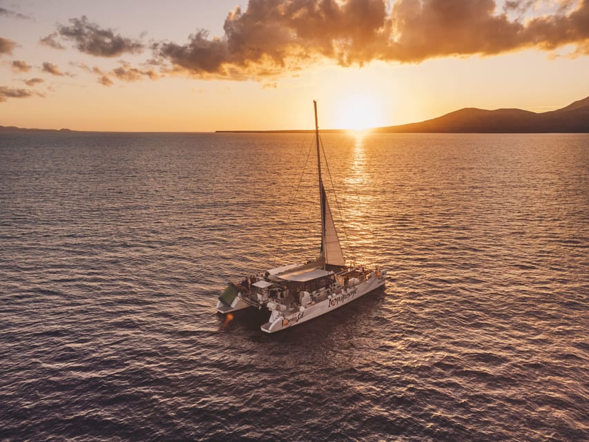 Lanzarote: Dolphin-Watching Sunset Cruise with Transfers - Setting sail from Puerto del Carmen at golden hour