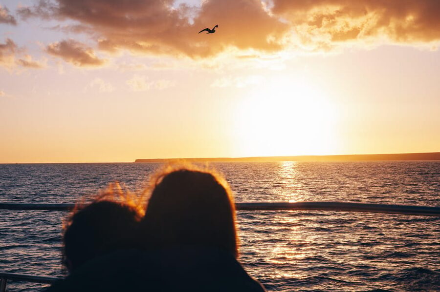 Lanzarote: Dolphin-Watching Sunset Cruise with Transfers - Why the catamaran makes a difference