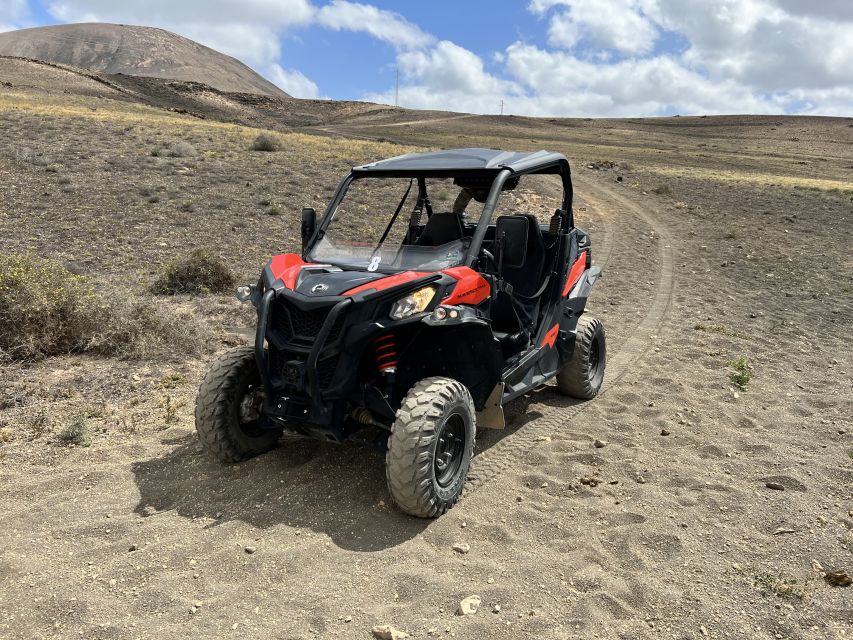 Lanzarote: Guided Can-Am Trail Buggy Tour - Key points to know before you book