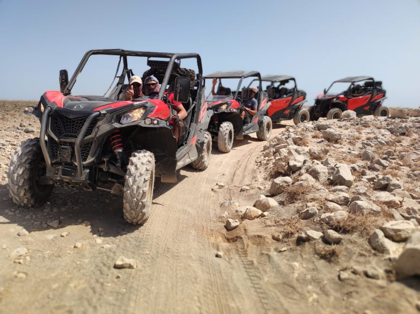 Lanzarote: Guided Can-Am Trail Buggy Tour - Why a Can-Am buggy suits Lanzarote