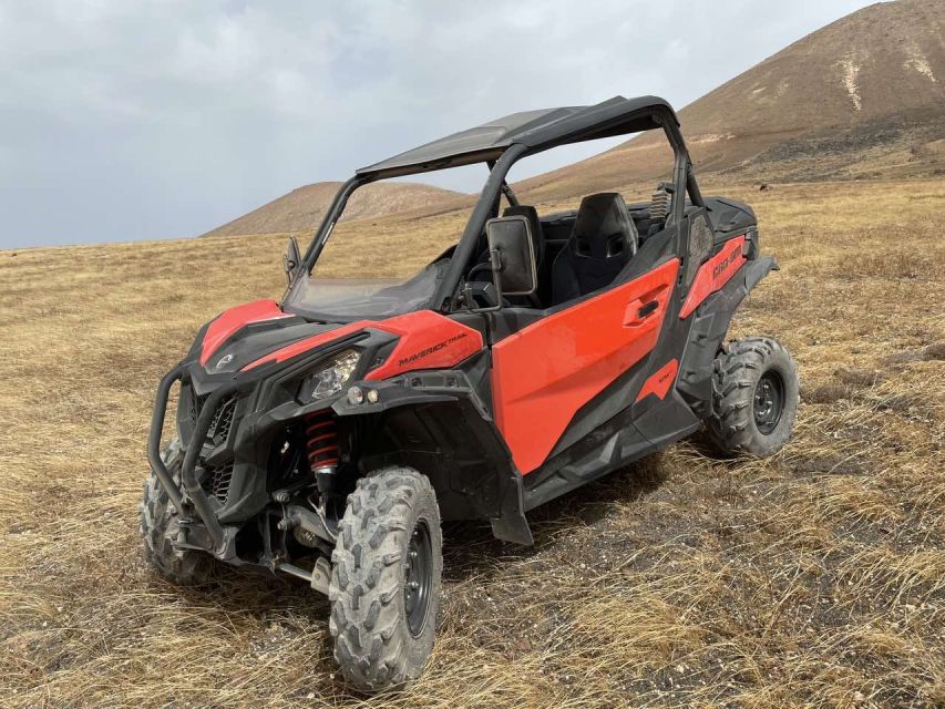 Lanzarote: Guided Can-Am Trail Buggy Tour - Who will enjoy this tour most
