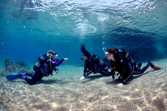 Lanzarote Introductory Scuba Diving Experience - Why Playa Chica works for a first scuba experience