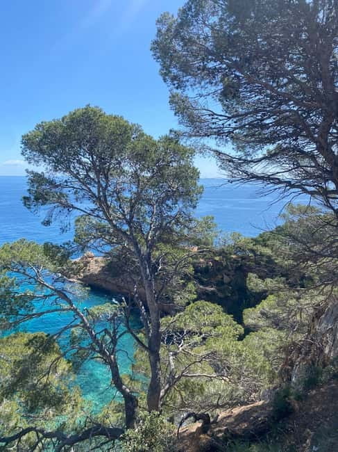 Lloret de Mar: Guided Sightseeing Tour in a 4x4 Vehicle - What $40 buys you