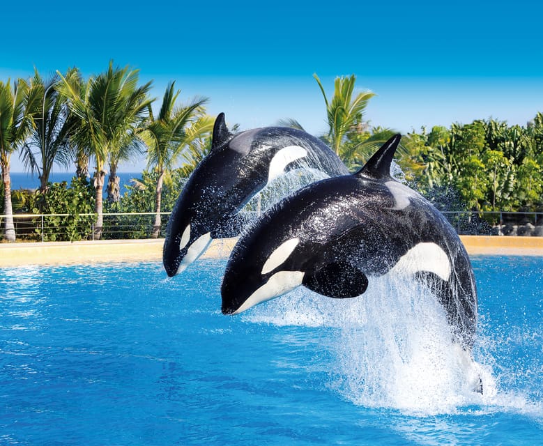 Loro Parque and Siam Park Combined Admission Tickets - Why this ticket works best as two full days