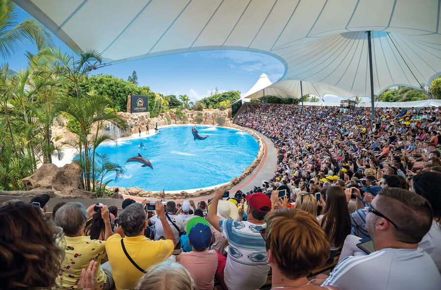 Loro Parque and Siam Park Combined Admission Tickets - Who will get the most from the $92 price
