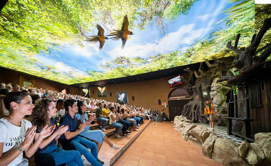 Loro Parque and Siam Park Combined Admission Tickets - Loro Parque, from orcas to penguins