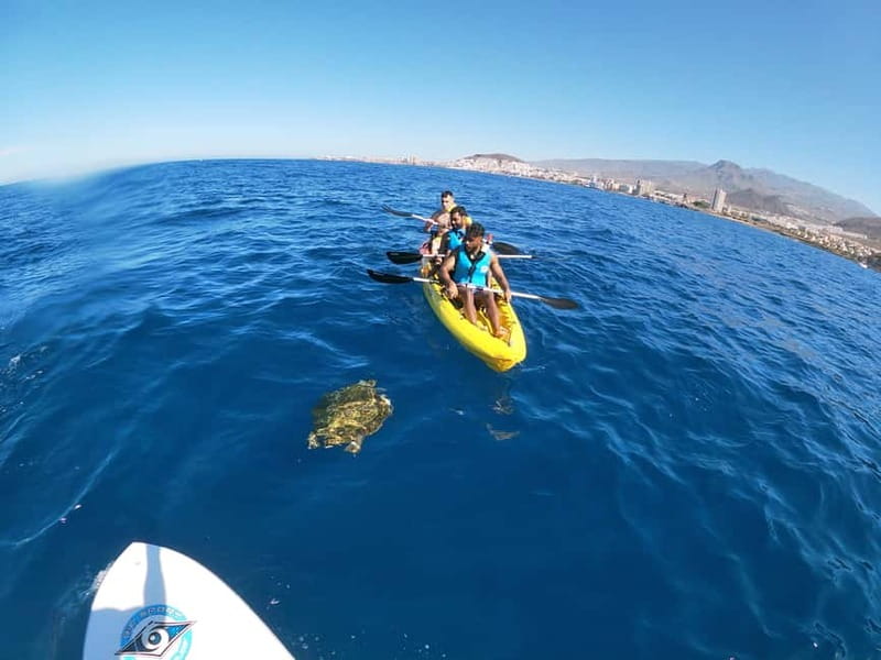 Los Cristianos: Kayak and Snorkel with Turtles and Photos - Searching for dolphins on the way back