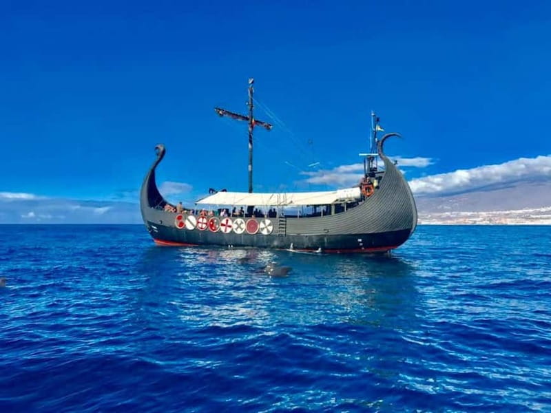 Los Cristianos: Viking Cruise Whales & Dolphins Watching - Setting Sail From Los Cristianos on Ragnarok