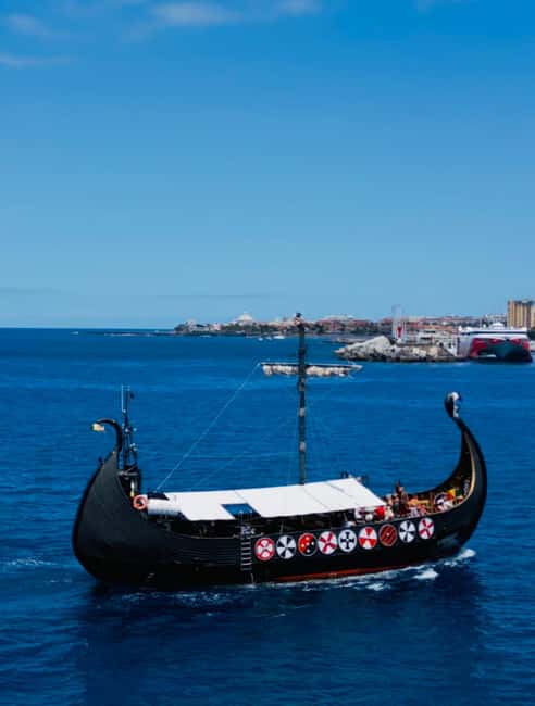 Los Cristianos: Viking Cruise Whales & Dolphins Watching - Who Should Book This Cruise?