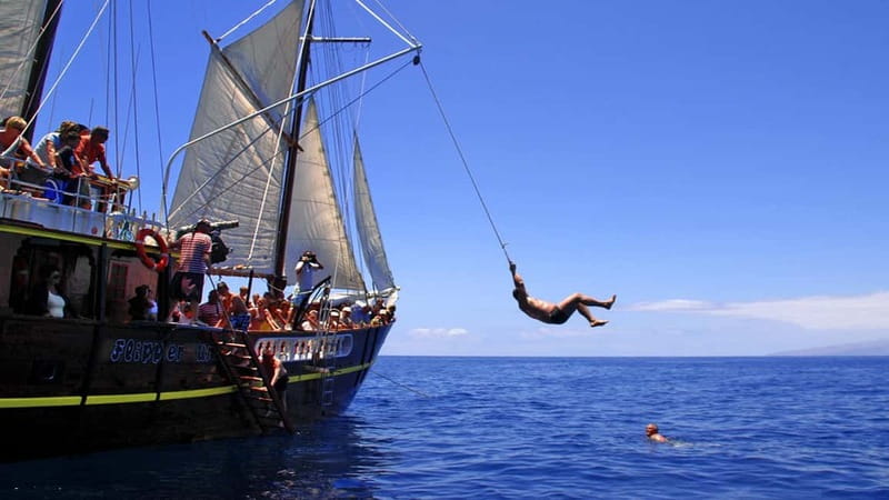 Los Gigantes: Dolphin and Whale Watching Tour with Drinks - The swim stop and the boat trapeze