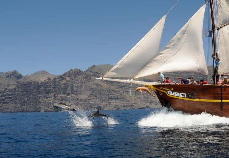 Los Gigantes: Dolphin and Whale Watching Tour with Drinks - Searching for dolphins and pilot whales