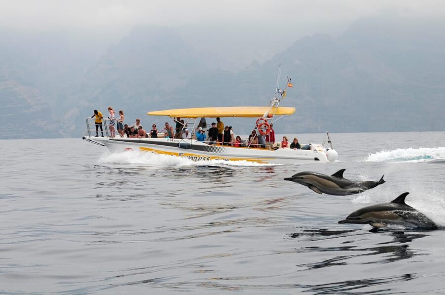 Los Gigantes: Dolphin & Whale Watching Cruise with Swim Stop - Leaving Los Gigantes Port on the Masca Express
