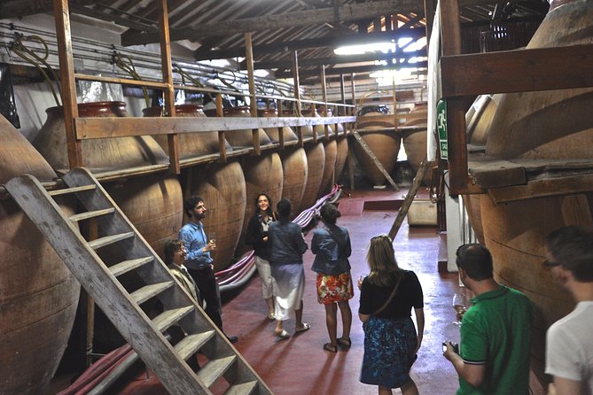 Madrid Countryside Wineries Guided Tour with Wine Tasting - Why Madrid’s wine country makes a good day out