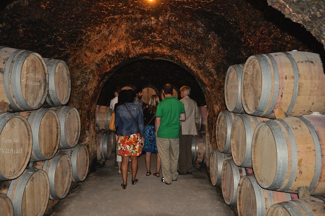 Madrid Countryside Wineries Guided Tour with Wine Tasting - Bodegas Jesús Díaz e Hijos and the old cellars