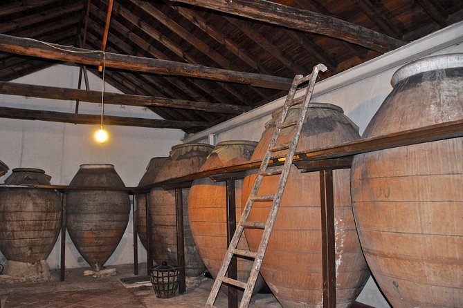 Madrid Countryside Wineries Guided Tour with Wine Tasting - The guides shape the day