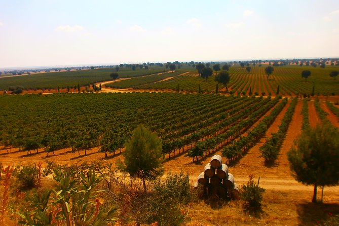 Madrid Countryside Wineries Guided Tour with Wine Tasting - What the $175.35 price gets you