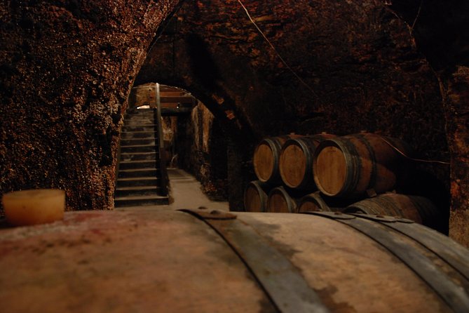 Madrid Countryside Wineries Guided Tour with Wine Tasting - A full but manageable six-hour schedule