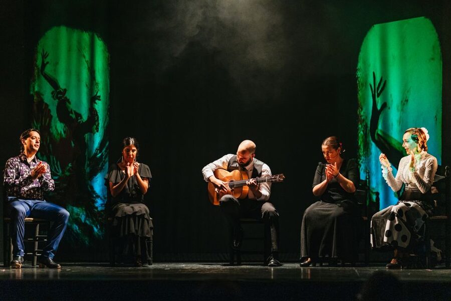 Madrid: "Emociones" Live Flamenco Performance - What the performance feels like from your seat