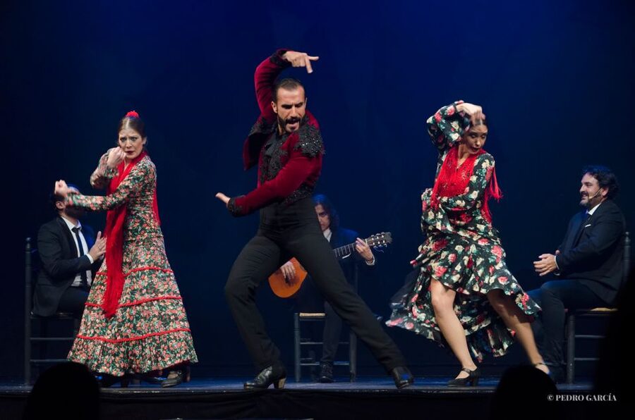 Madrid: "Emociones" Live Flamenco Performance - Small drawbacks worth considering
