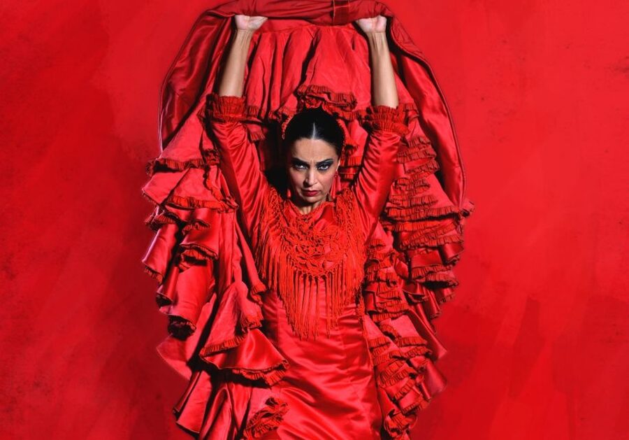 Madrid: "Emociones" Live Flamenco Performance - Who will get the most from Emociones