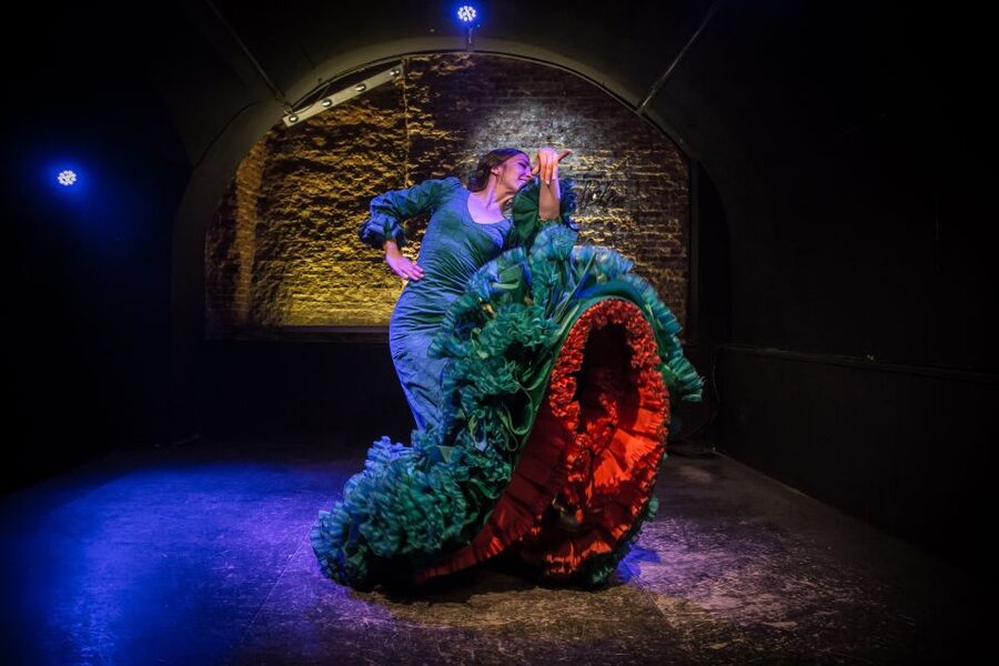 Madrid: La Cueva de Lola Flamenco Show Tickets with Drink - Should you book this flamenco show?