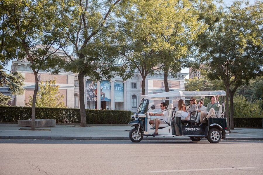 Madrid: Private City Tour by Eco Tuk Tuk - Royal Madrid, Plaza Mayor, and the San Miguel area
