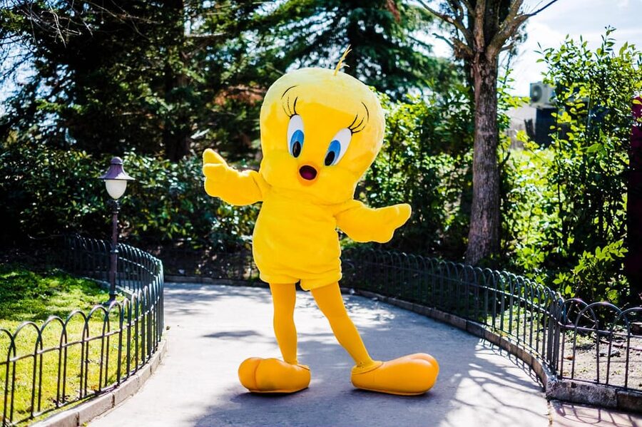 Madrid: Warner Park Entry Ticket - Key points to know before you go