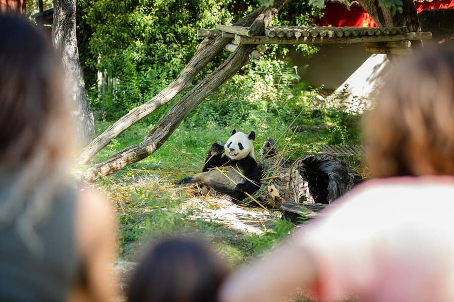 Madrid: Zoo Aquarium Madrid Ticket - Presentations, feeding times, and changing schedules