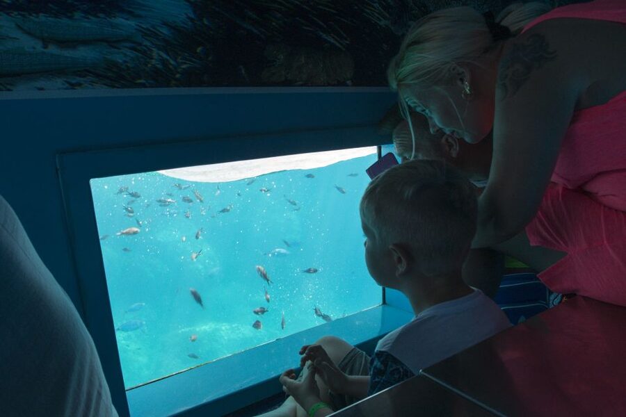 Mahon: Harbor Boat Tour with Underwater Viewing & Commentary - Should you book it?