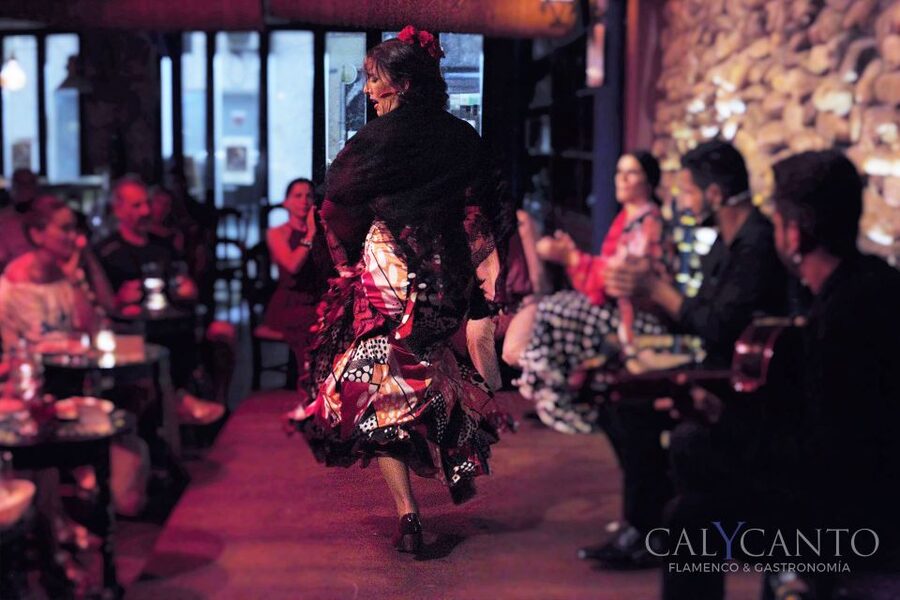 Malaga: Authentic Flamenco Show at El Gallo Ronco - The sound and movement you will notice