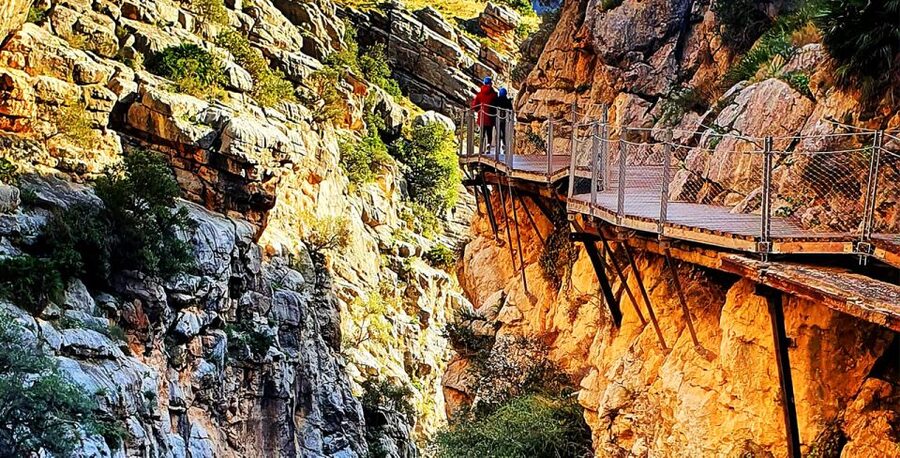 Málaga: Caminito del Rey Guided Tour with Transportation - Who will enjoy this day trip most?