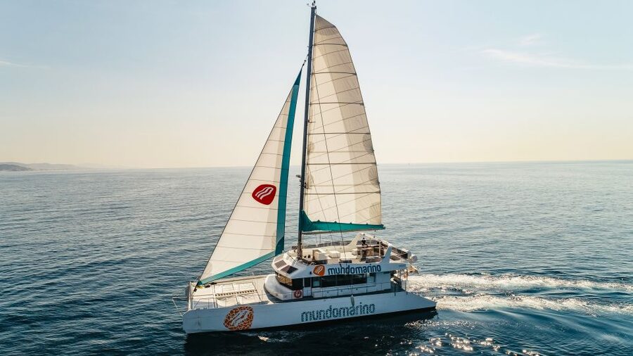 Malaga: Catamaran Sailing Cruise with Swimming & Optional DJ - What you see from Malaga Bay
