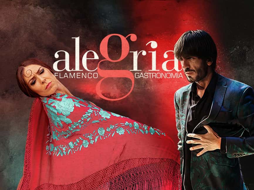 Málaga: Live Flamenco Show at Flamenco Alegría - Why Flamenco Alegría works so well for a Málaga evening