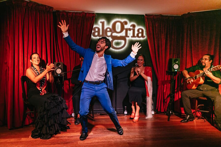 Málaga: Live Flamenco Show at Flamenco Alegría - Tapas, wine, and the extra cost