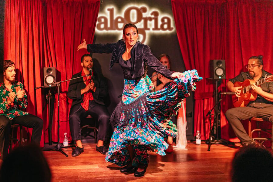 Málaga: Live Flamenco Show at Flamenco Alegría - What makes the performance feel authentic