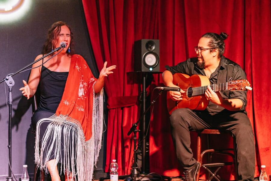 Málaga: Live Flamenco Show at Flamenco Alegría - Who will enjoy this show most?