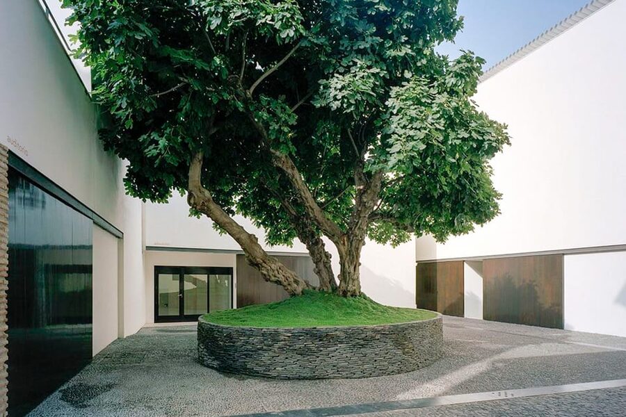 Málaga: Museo Picasso Málaga Entry Ticket - The audio guide is useful, with one important catch