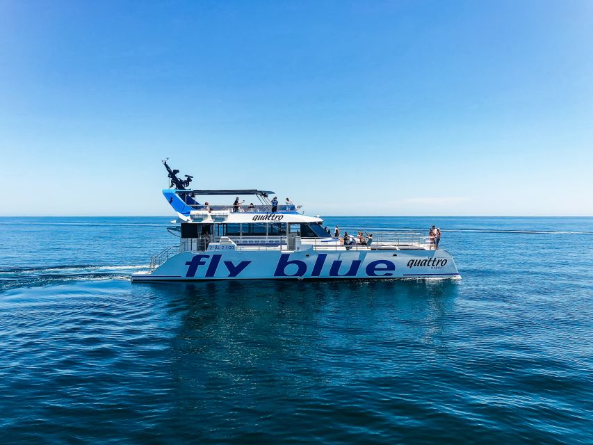 Málaga: Scenic Catamaran Cruise - Who will enjoy this Málaga cruise most