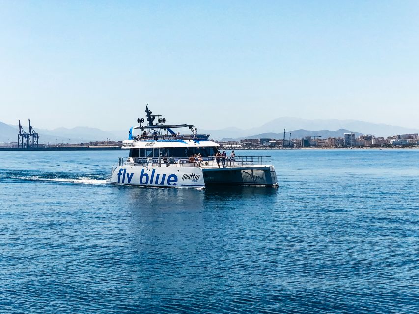 Málaga: Scenic Catamaran Cruise - Practical tips for a smoother hour