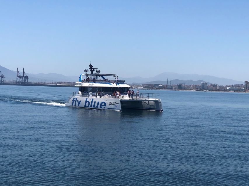 Málaga: Sunset Catamaran Trip - Weather, motion, and what to wear
