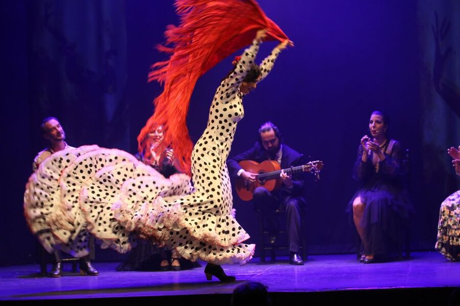 Malaga: Teatro Flamenco Malaga Live Flamenco Show - Key points before you book