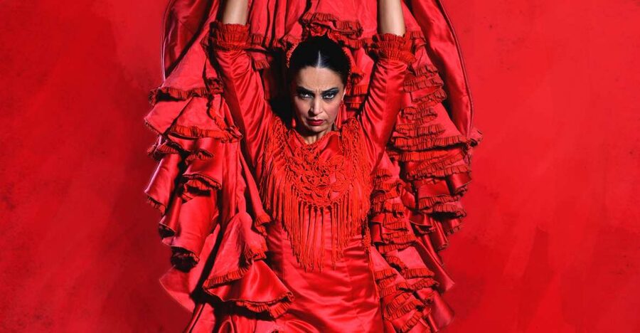 Malaga: Teatro Flamenco Malaga Live Flamenco Show - Choosing your seat and arrival time