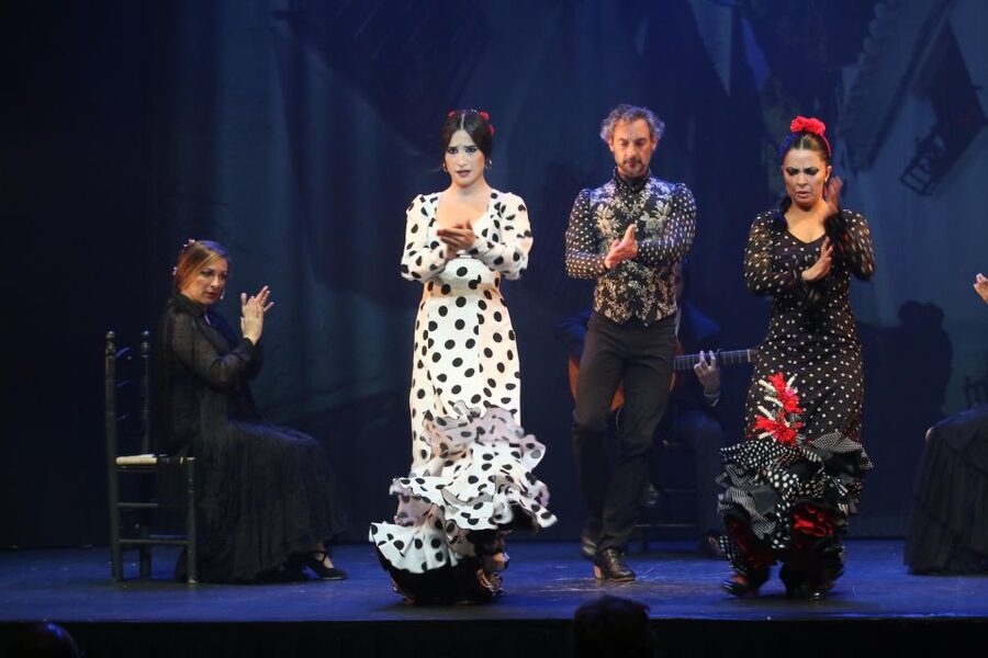 Malaga: Teatro Flamenco Malaga Live Flamenco Show - Booking, cancellation, and accessibility
