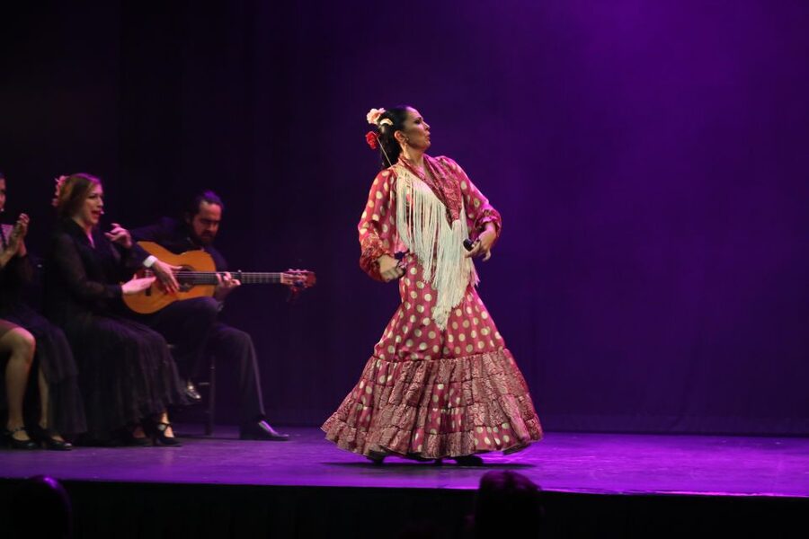 Malaga: Teatro Flamenco Malaga Live Flamenco Show - Why the small theatre matters